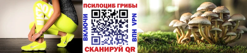 где можно купить наркотик  Ижевск  Галлюциногенные грибы ЛСД 